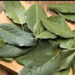 Khasiat dan Manfaat Daun Salam untuk Kesehatan