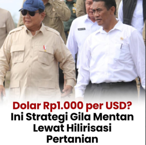Pemerintah Akan Bikin Target Besar Besaran Harga Per Dollar Rp. 1.000