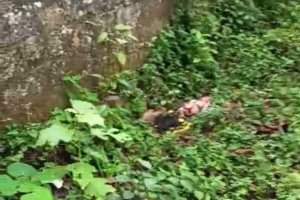 Penemuan Seorang Bayi Perempuan di Puncak Bogor