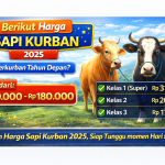 Harga Sapi Kurban 2025